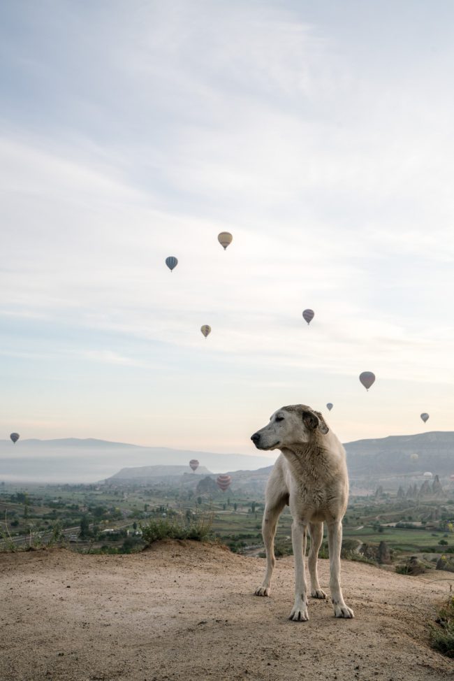 Cappadocia