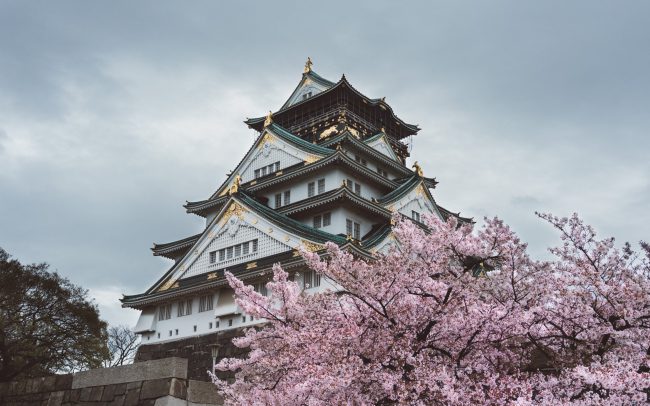 Osaka Castle during cherry blossom [David Tan]