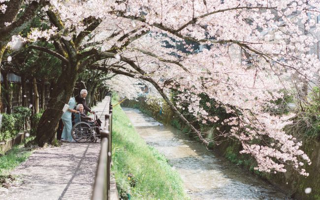 Sakura tree with 3 people under it [David Tan]