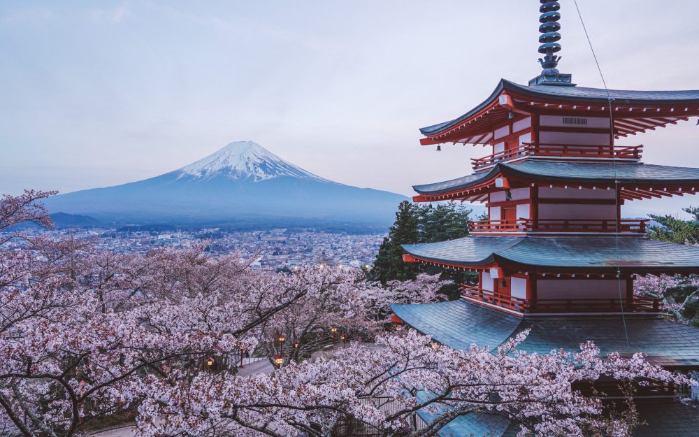 The Chureito Pagoda during cherry blossom with mt-Fuji [David Tan]