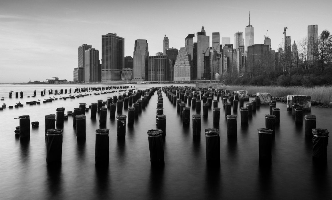 Brooklyn bridge park [David Tan]