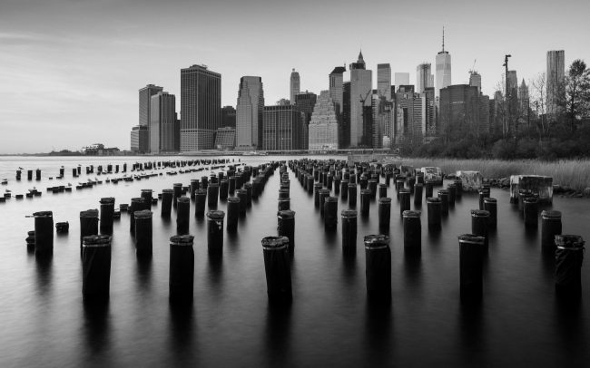Brooklyn bridge park [David Tan]