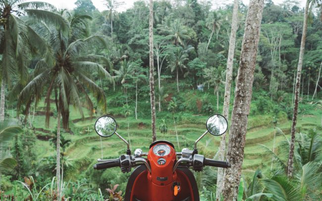 scooter in rice field Bali [David Tan]